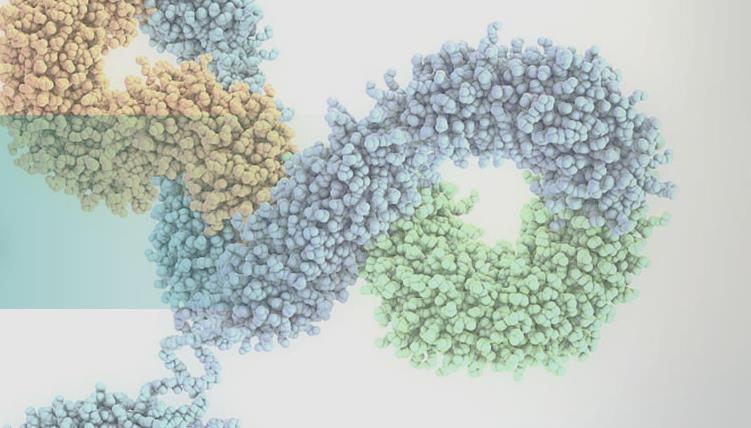 百奥赛图宣布启动“Nano 100计划”，开发针对100+靶点的全人治疗性纳米抗体